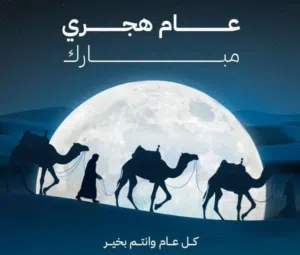 يوسف مصطفى 
