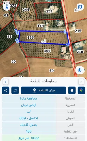 Farm Land for Sale in Madaba lob