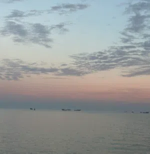 عامر 