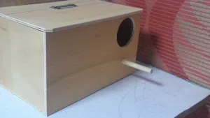 بيت لتكاثر طيور كوكتيل