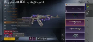 حساب ببجي للبيع