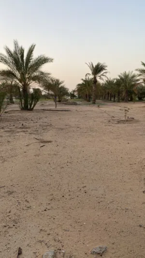نص مزرعه للايجار