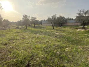 ارض مميزة للبيع