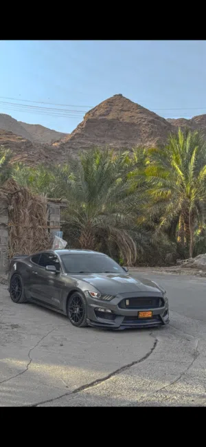 Used Ford Mustang in Muscat