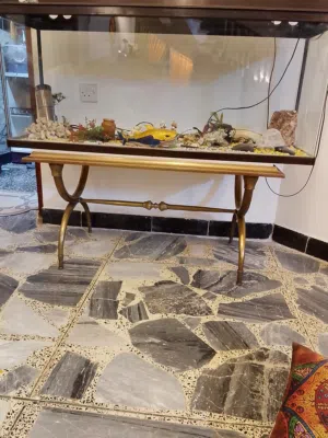 حوض اسماك الزينه حجم كبير