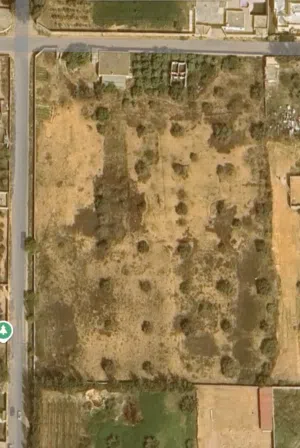 3 Bedrooms Farms for Sale in Tripoli Airport Road