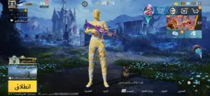 حساب ببجي80