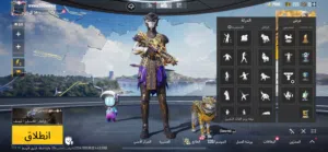 Pubg Accounts and Characters for Sale in Abu Dhabi