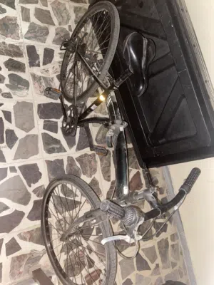 بسكليت ياباني