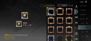 حساب ببجي اشي مرتب