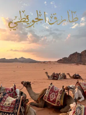 طارق دسوقى الحويطي 