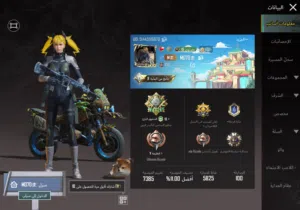 حساب ببجي للبيع