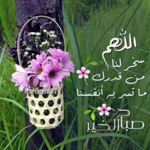 علاءالدين محمد رشيد شاهين 