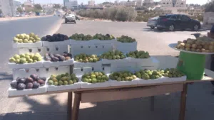 10 جواز حمام بلدي