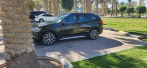 BMW  X1 2019 Sdrive
