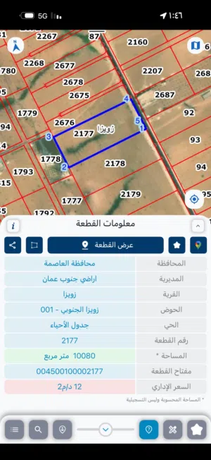 10 دونمات على شارع المعبد في زويزا الجنوبي
