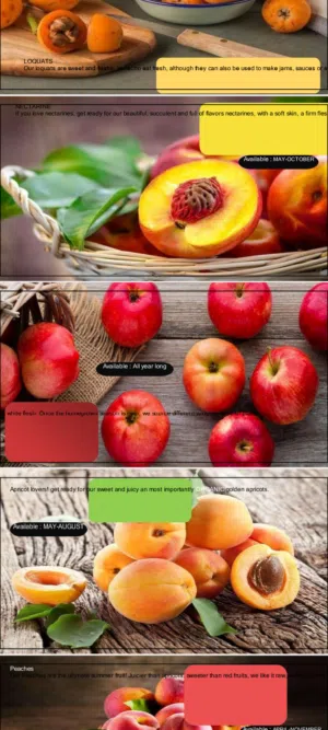 شركة استيراد وتصدير أبحث عن ممول