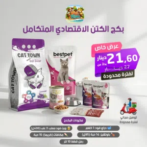 البكج الاقتصادي المتكامل