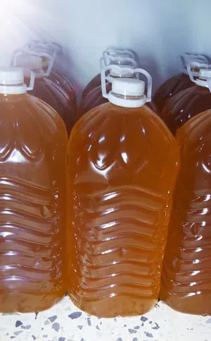 زيت زيتون مسلاته... زيت الموسم الحالي