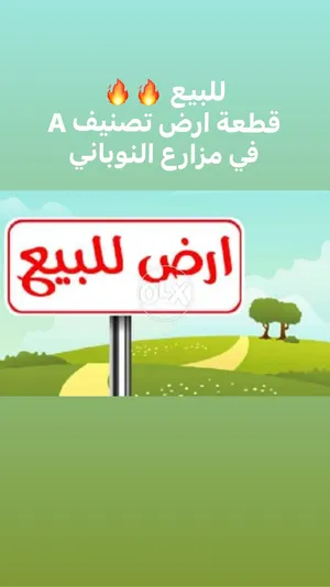 ‏أخرى‏2