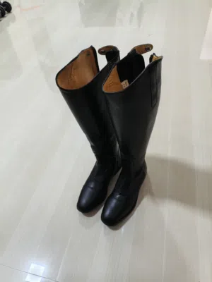 بوت الفروسیه