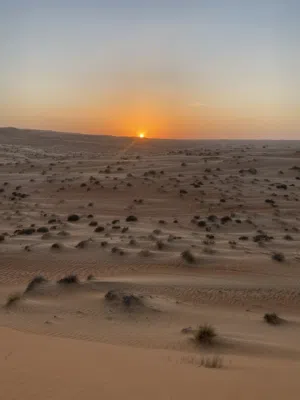 Aman dome desert