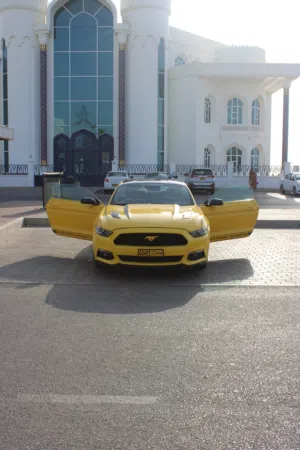 FOR SALE – 2016 Ford Mustang  Excellent Condition  Buy & Drive.