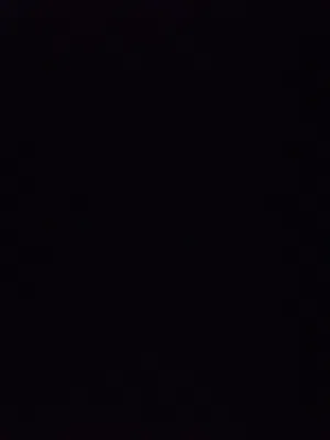 السلام عليكم اقفاص للبيع سعر القفص 3.500ريال