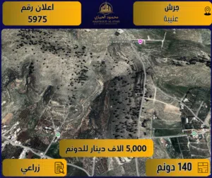 Farm Land for Sale in Jerash Unaybah
