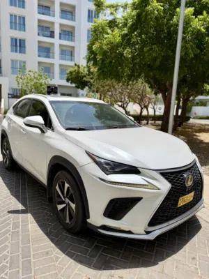 Lexus nx300 perfect sport platinum full option excellent