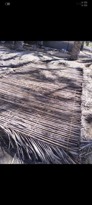 معي دعون جديده بريحتهم مال ذا الشهر حمل قبل النفاذ المصنعه الحجم المتوسط