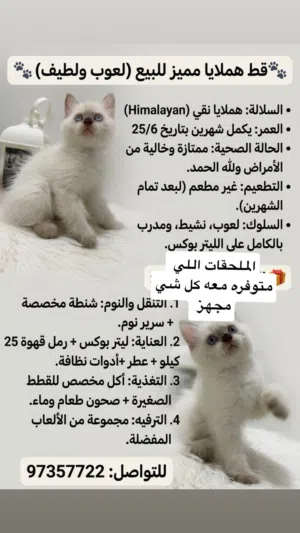 هملايا عمر شهرين