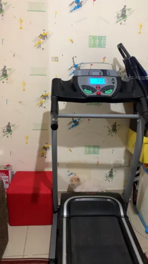 جهاز tread mill