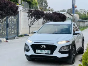 كونا-دهان-الشركة-بسعر-مناسب-فل-الفل-اضافات