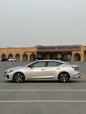 مكسيما 2022 SV