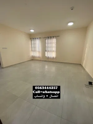 للإيجار استوديو في منطقة الجيمي