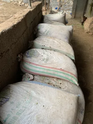 سماد اغنام للبيع