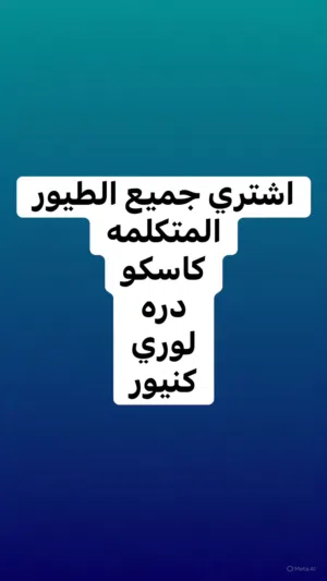 اشتري جميع الطيور المتكلمه الاليفه كاسكو دره كنيور