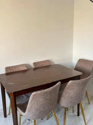 Dining Table with 5 Chairs for Sale – BD 25