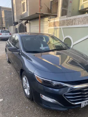 ماليبو 2020