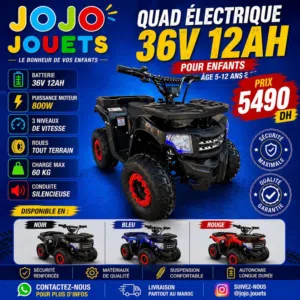 QUAD électrique 36V 800W