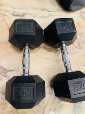 20kg x 2 dumbbells