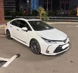 Mk 