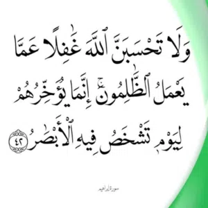محمد على 