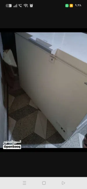 مجمده شغاله