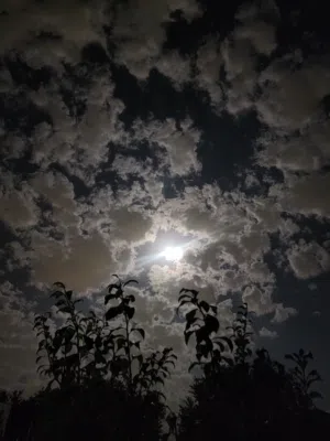 Commercial Land for Sale in Hebron Tarqumiyah