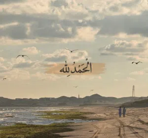 ضياء المتولي 
