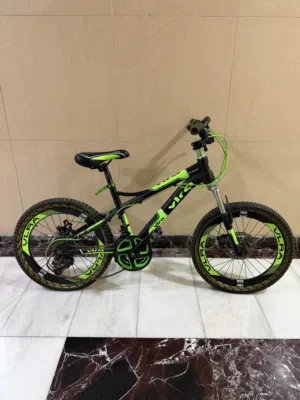 bicycle for teenagers