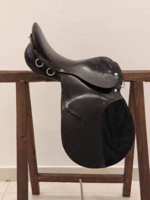 سيلة خيـل اوروبية