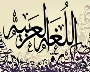 مدرسة لغة عربية جميع المراحل وتأسيس